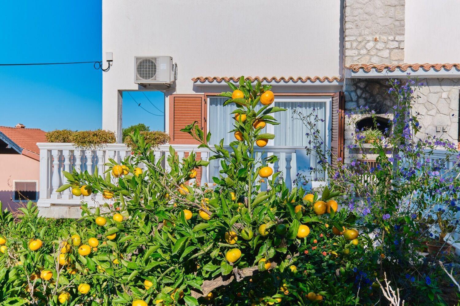 Apartment Luce Mali Lošinj Εξωτερικό φωτογραφία