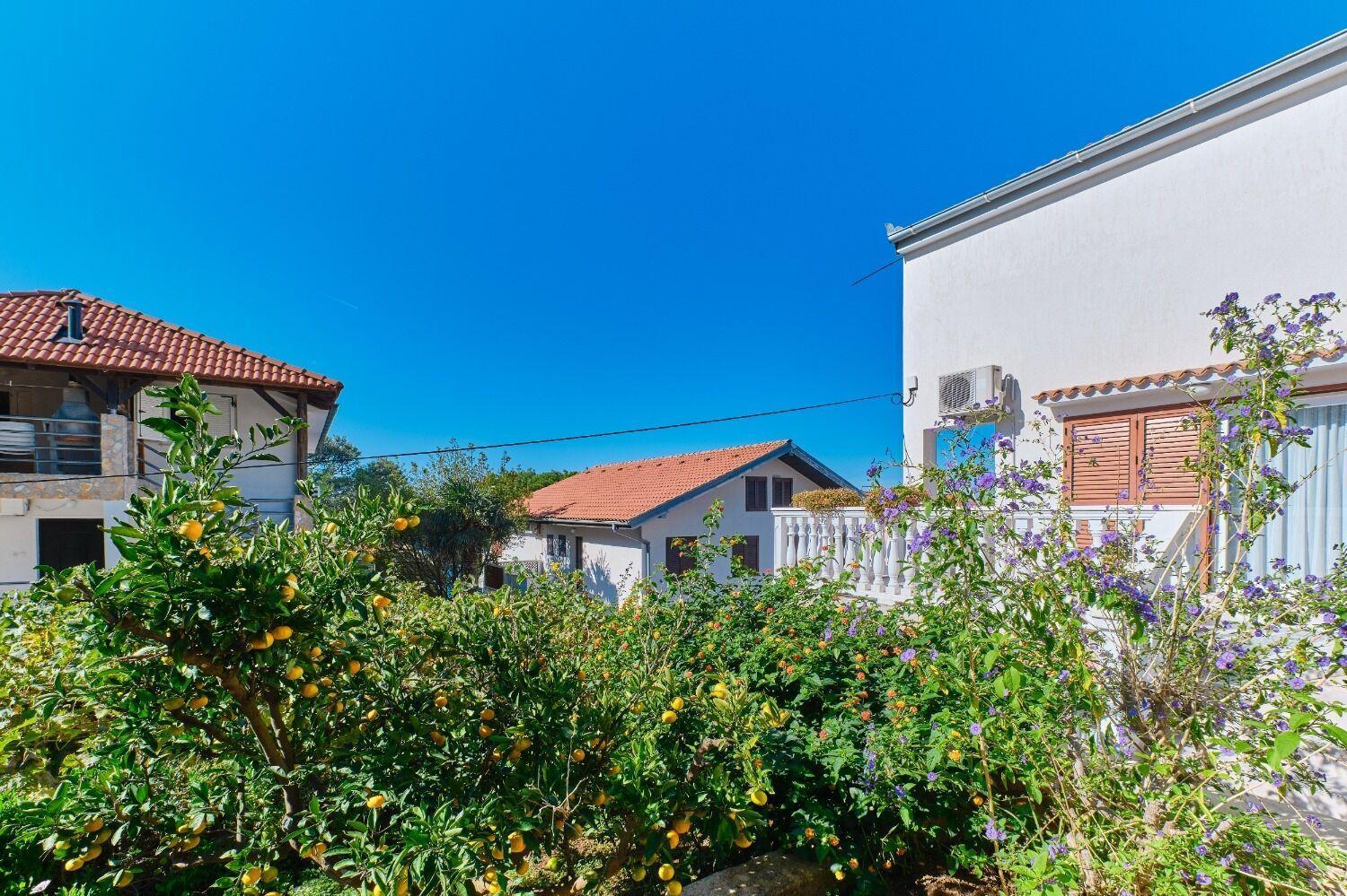 Apartment Luce Mali Lošinj Εξωτερικό φωτογραφία